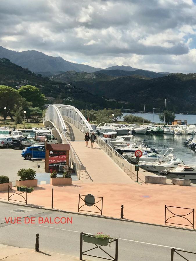 Plein Centre Florent Face Au Port Appartamento